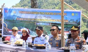 IMG-20260820-WA0028